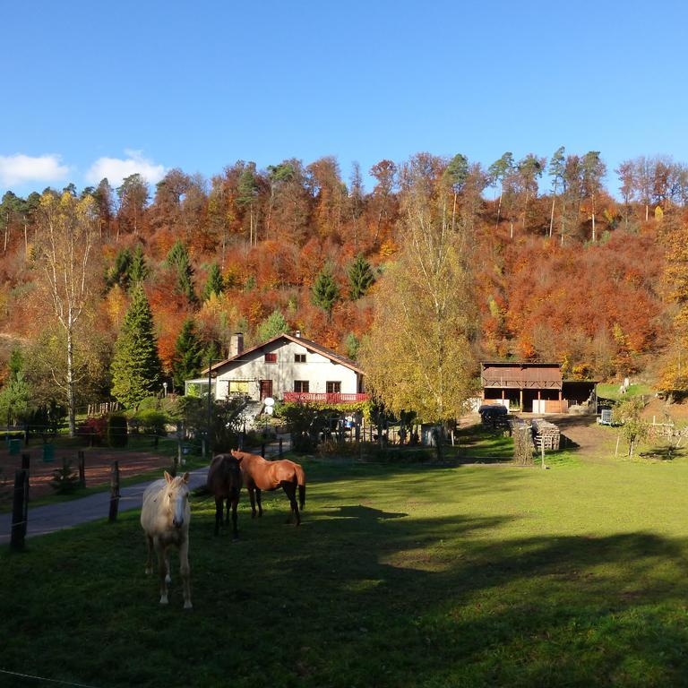 L'Echappee Verte - Gite Equestre 5 Pers Soucht Quarto foto