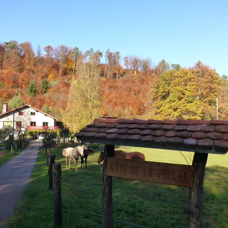 L'Echappee Verte - Gite Equestre 5 Pers Soucht Quarto foto