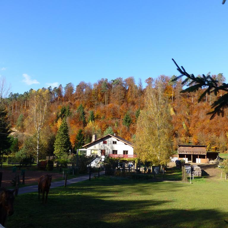 L'Echappee Verte - Gite Equestre 5 Pers Soucht Quarto foto
