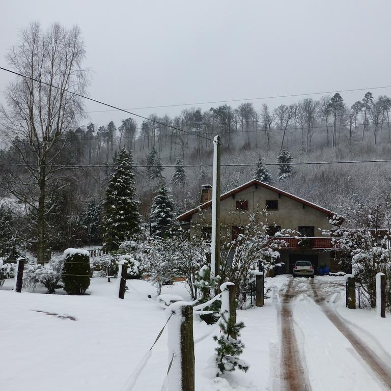 L'Echappee Verte - Gite Equestre 5 Pers Soucht Exterior foto