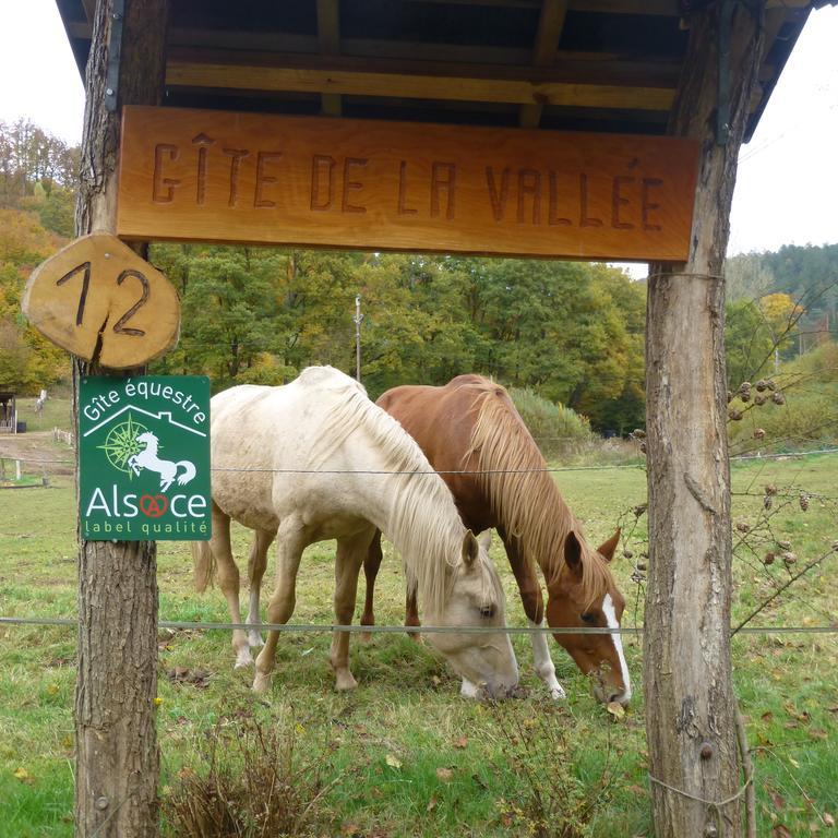L'Echappee Verte - Gite Equestre 5 Pers Soucht Exterior foto