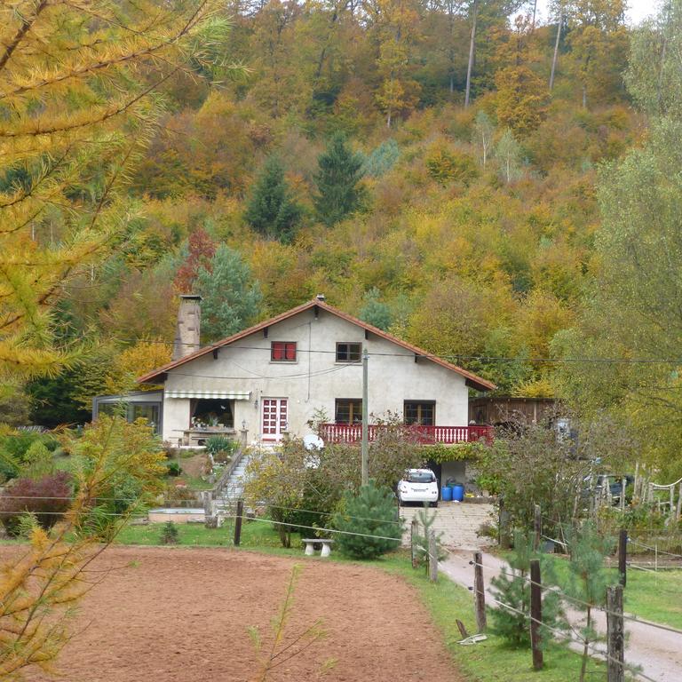 L'Echappee Verte - Gite Equestre 5 Pers Soucht Exterior foto