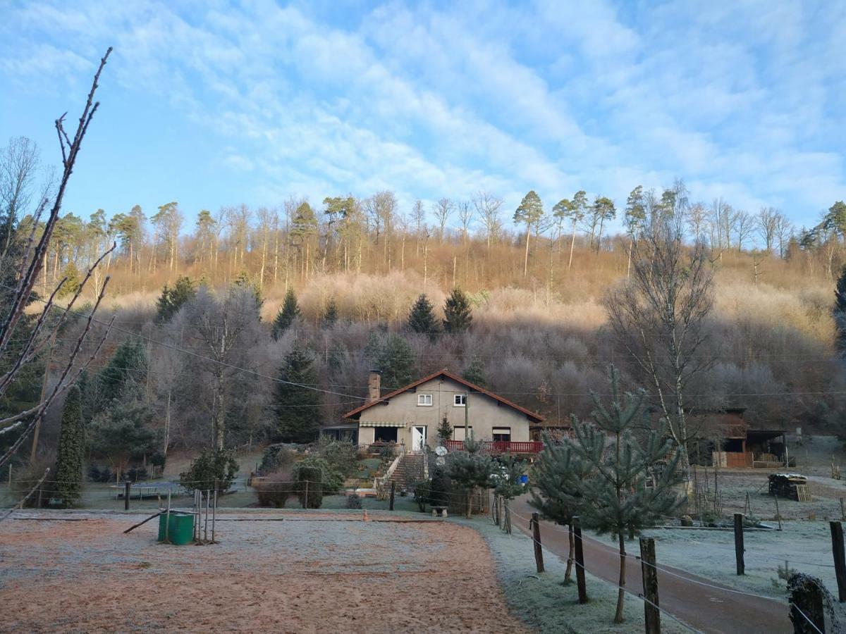 L'Echappee Verte - Gite Equestre 5 Pers Soucht Exterior foto