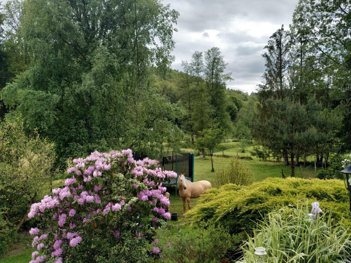 L'Echappee Verte - Gite Equestre 5 Pers Soucht Exterior foto